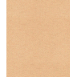 RASCH Tapeta 716993