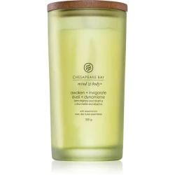 Chesapeake Bay Candle Mind & Body Awaken & Invigorate dišeča sveča 355 g