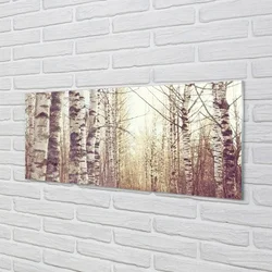 tulup.si Steklena slika Drevesa 140x70 cm 2 obešalnika