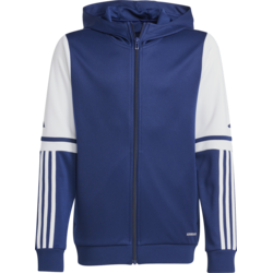 adidas  Squadra 25  pisana