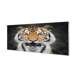 tulup.si Steklena slika Tiger 140x70 cm 4 obešalnika
