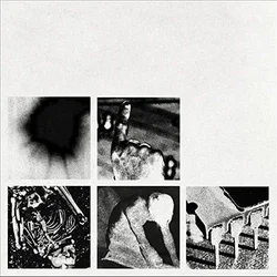 Nine Inch Nails Bad Witch (Vinyl LP)
