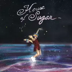 Alex G - House Of Sugar (LP)