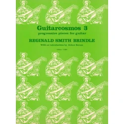 BRINDLE S.R.:GUITARCOSMOS 3