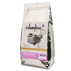 PSITTACUS PIGEON HAND FEEDING 1KG