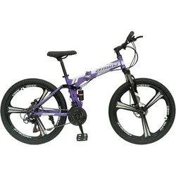 Arion AOMN Junior bicikl TZ-M46 26