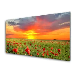 tulup.si Slika na steklu Mak narava rastlin pred soncem 125x50 cm 2 obešalnika
