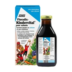 SALUS Sirup za decu Floradix Kindervital 250 ml