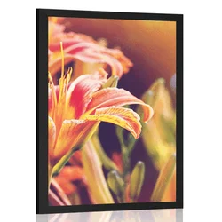 Plakat čudoviti cvetovi na vrtu - 60x90 no frame