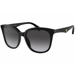 Emporio Armani EA4157 50178G Črna/Siva