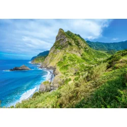 CASTORLAND Zelena Madeira Puzzle 500 kosov