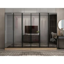 Hanah Home ormar sa reflektujućim staklom Nisa 20651, 270 cm, dore
