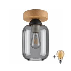 BRILAGI - LED Stropna svetiljka R GLASS 1xE27/60W/230V prečnik 14 cm hrast/dim siva