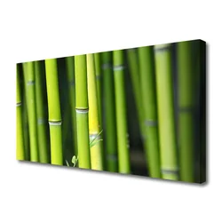 tulup.si Slika na platnu Narava bamboo rastlin 100x50 cm