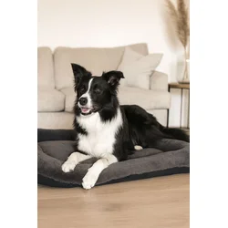 Paws & Whiskers Krevet za ljubimce Sally Dog, 55x75x8 cm, Antracit