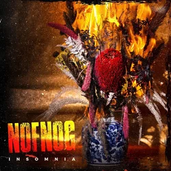 Nofnog - Insomnia (LP)