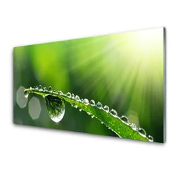 tulup.si Slika na steklu Grass nature dew drops 140x70 cm 4 obešalnika