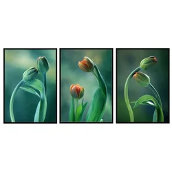 shumee UOKVIRJENA SLIKA 53x73cm Triptih Komplet 3 slik Tulipani Rože Trava P2002