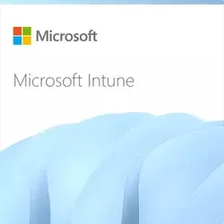 Microsoft Intune Plan 2-Annual Subscription (1 year)