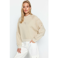 Trendyol Stone Crew Collar Regular Fit Embroidered Fleece Inside Knitted Sweatshirt