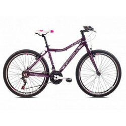CAPRIOLO Mtb Attack Lady ljubičasto-belo 2019 l26/18al 919565-17