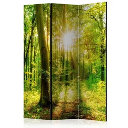 artgeist Paravan Forest Rays, Dvostranski, 3-Delni