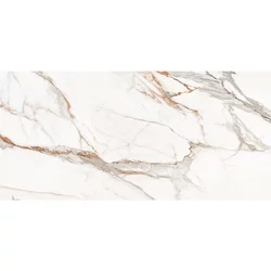 Calacatta Arabesco White Satin Rect G1 59.8x119.8
