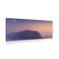 Slika polna luna nad dolino - 200x100