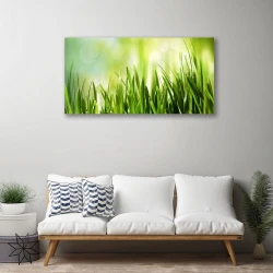 tulup.si Slika na platnu Trava narava 100x50 cm