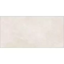 Elegant Taupe 60x120