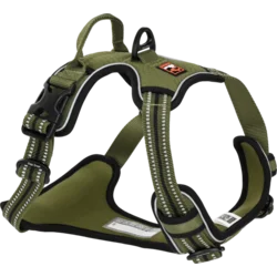 Dogs Creek oprsnica za pse Pathfinder L, zelena