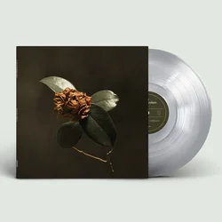 St. Paul & The Broken Bones - Young Sick Camellia (Limited Edition) (Limited Clear Edition Coloured) (LP)