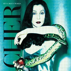 Cher - ItS A ManS World (2 LP)
