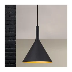 Orion - Luster na sajli GUNDA 1xE27/60W/230V O 25 cm crna/zlatna