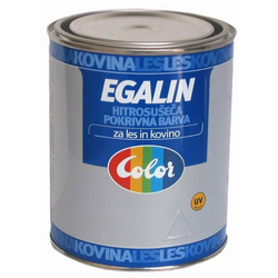 COLOR pokrivna barva EGALIN ZA KOVINO IN LES 0,75 L, BELA