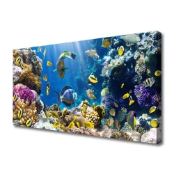 tulup.si Slika na platnu Barrier reef narava 120x60 cm