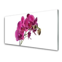 tulup.si Slika na steklu Orhideje narava 100x50 cm 4 obešalnika