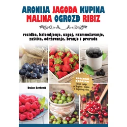 Aronija, jagoda, kupina, malina, ogrozd, ribiz - bobičasto voće