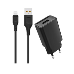 DENMEN Punjač DC01L 2/4A + Lightning kabl/ crna