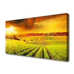 tulup.si Slika na platnu Polje sunset landscape 140x70 cm