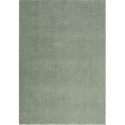 Tepih Visokog Flora 120/170 Cm Nemo 3