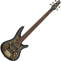 Ibanez SR305EDX-FDM Frozen Gold Matte 5 strunska bas kitara