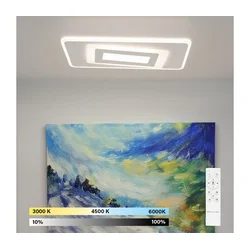 Brilagi - LED prigušiva stropna lampa MODERN LED/51W/230V 3000-6000K + daljinski upravljač