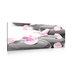 Slika wellness kamni s cvetnimi listi - 60x30