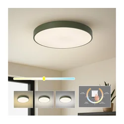 Brilagi - LED plafonsko svetlo POOL LED/60W/230V 3000/4000/6000K 50 cm zelena
