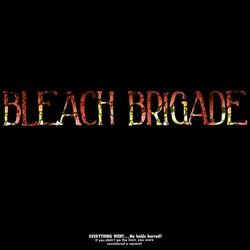 We Are Hex - Bleach Brigade (LP)