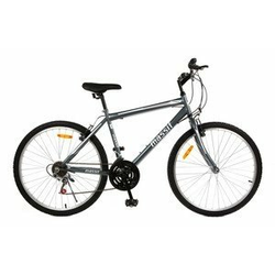 MASSIF bicikl MTB WZD-ZXC036 26 tamnosivi