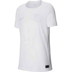 Nike Dres Dri-FIT Norway Stadium 3rd 2026 Kids