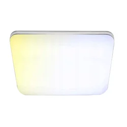 MASTER Lampa LED nadgradna sa daljinskim 42W 49x49cm