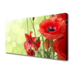 tulup.si Slika na platnu Mak rože narava rastlin 120x60 cm